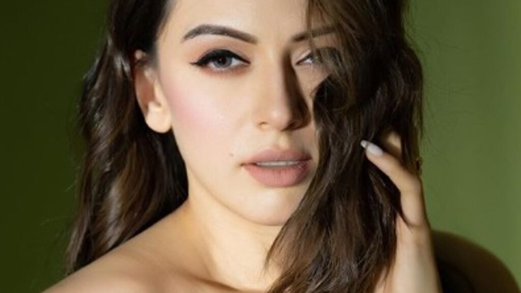 Hansika-Motwani-News