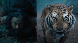 kantara-chapter-1-tiger-scene-behind-the-scenes